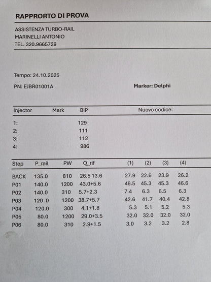 INIETTORI REVISIONATI EJBR01001A SUZUKI, CITROEN 1.4